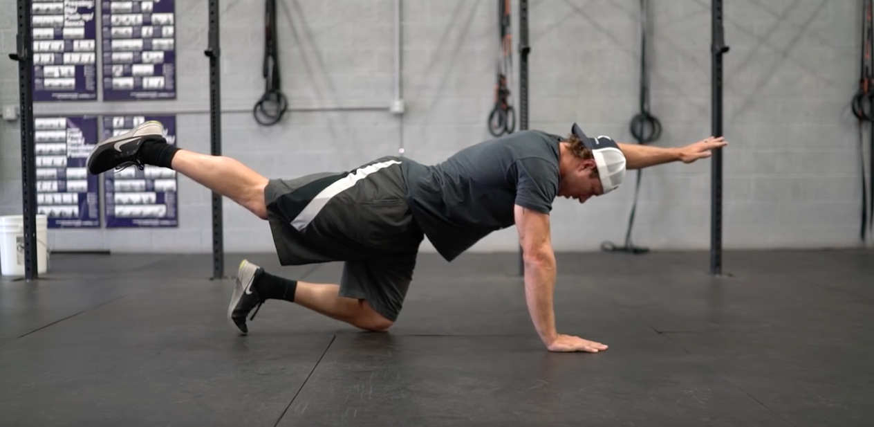 Wild Skills 4 | Lower Back Pain Exercises