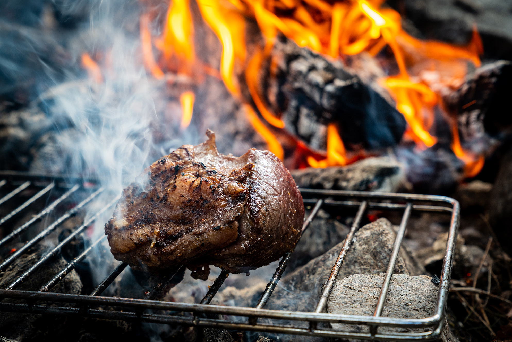 The Backcountry Grilling Game for Dummies