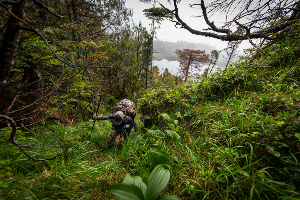 Haida Gwaii hike