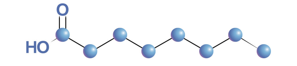 C8 MCT molecule